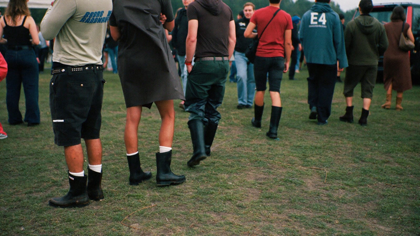 2000trees, Cheltenham