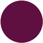 Oasis Festival logo