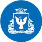 Salvador Carnival logo